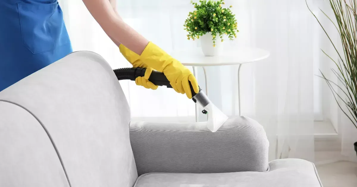 Professional performing sofa steam cleaning with extraction equipment on a light-colored fabric couch