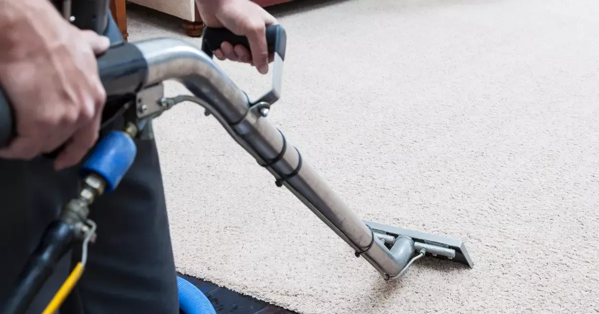 Professional rug odor removal using a steam cleaning machine