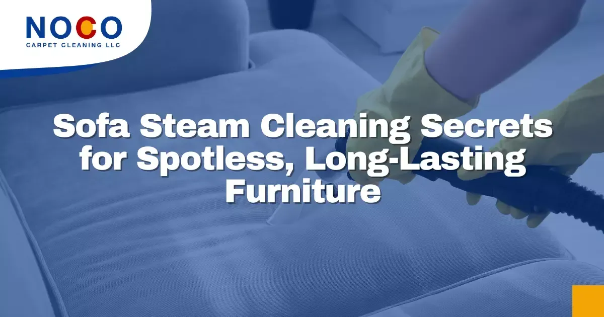 Why Steam Carpet Cleaning Is Key to a Cleaner, Safer Home