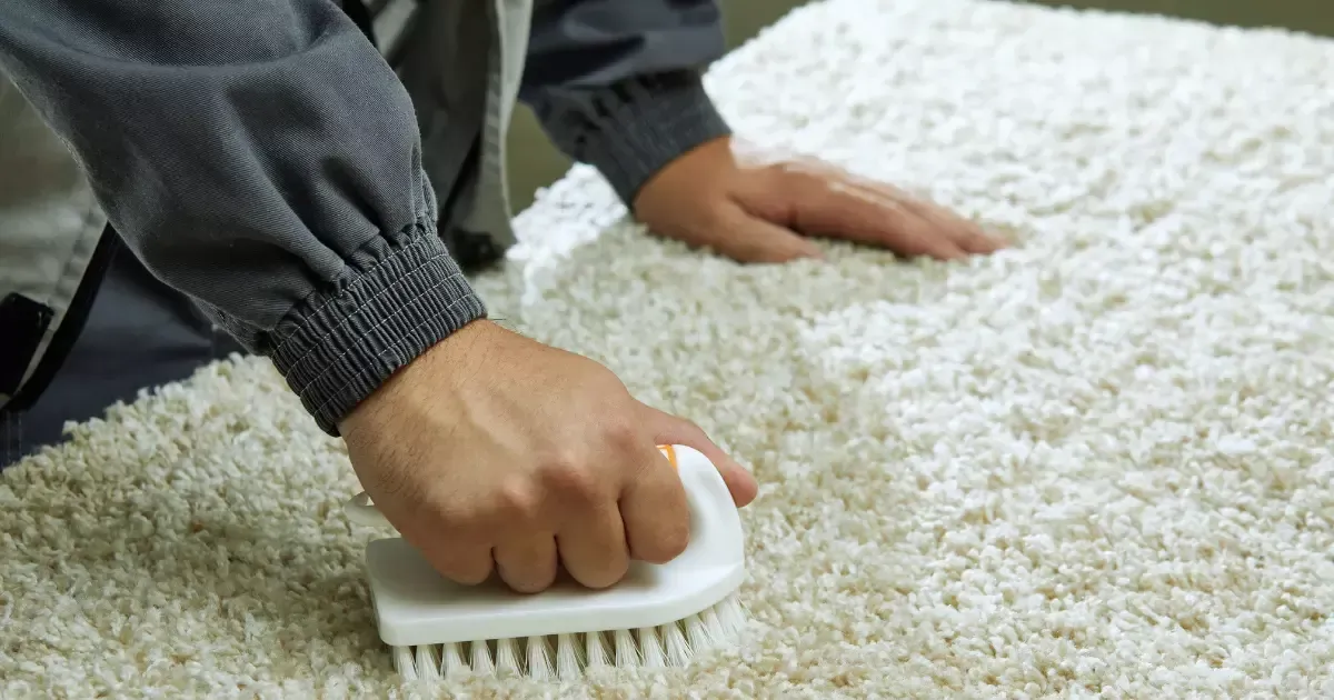 carpet cleaning using white brush