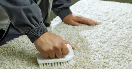 carpet cleaning using white brush