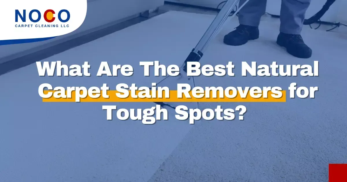 6 Proven Natural Carpet Stain Removers for Effective Cleaning