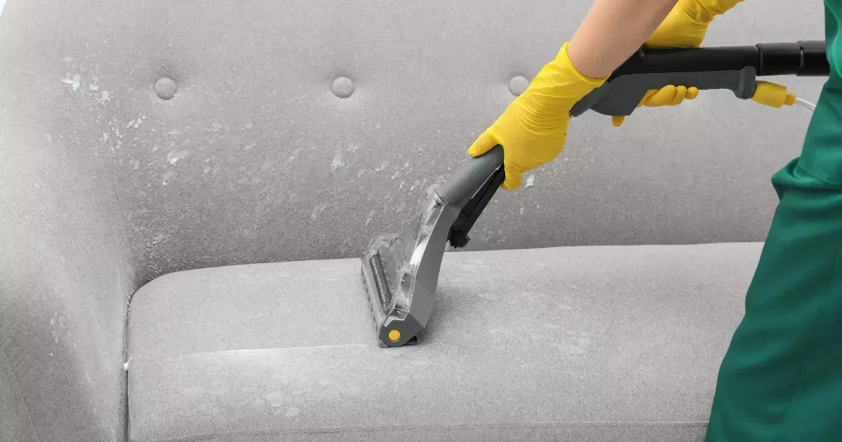 professional upholstery cleaning