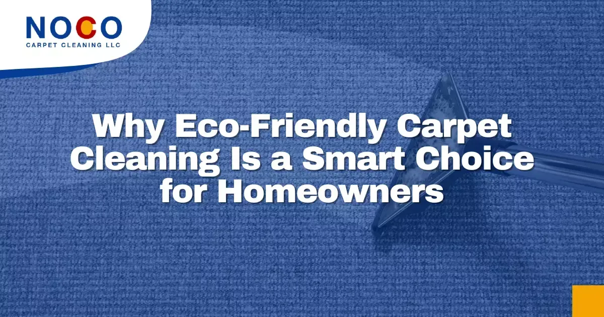  Why Eco-Friendly Carpet Cleaning Is a Smart Choice for Homeowners