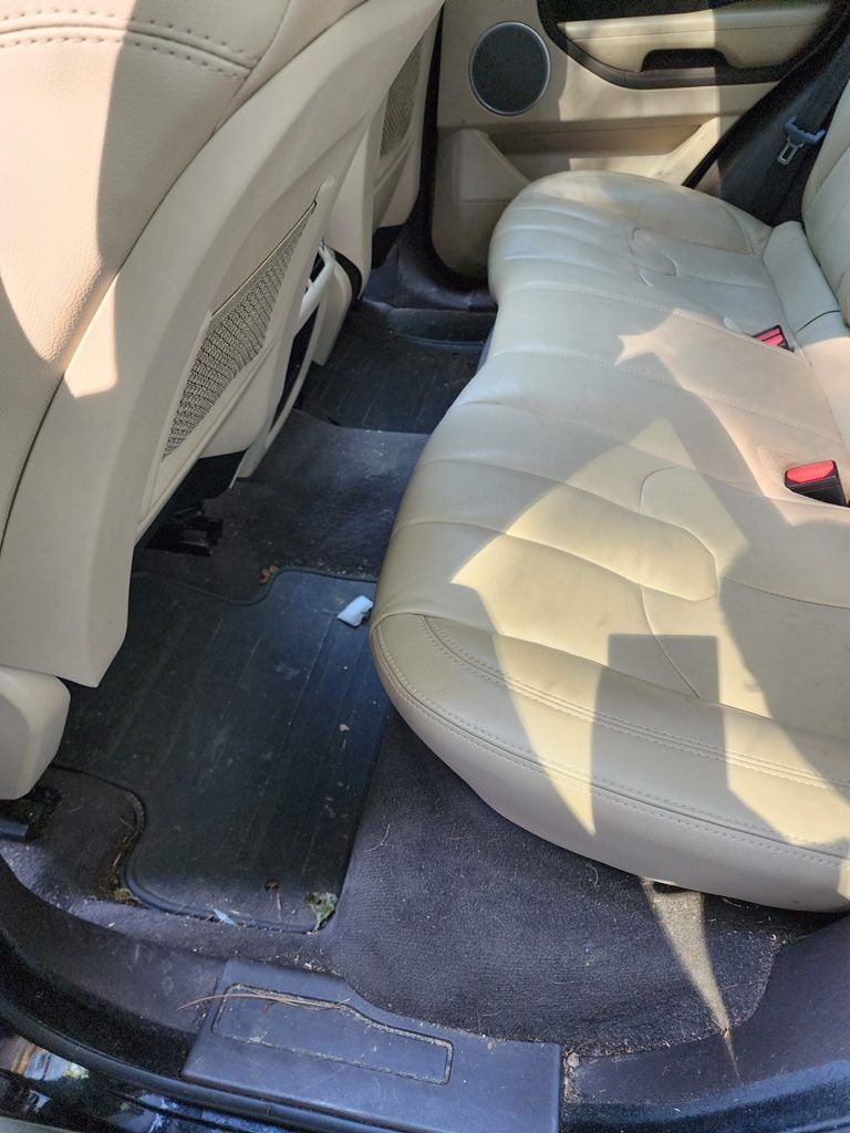 The back seat of a car is dirty and needs to be cleaned.