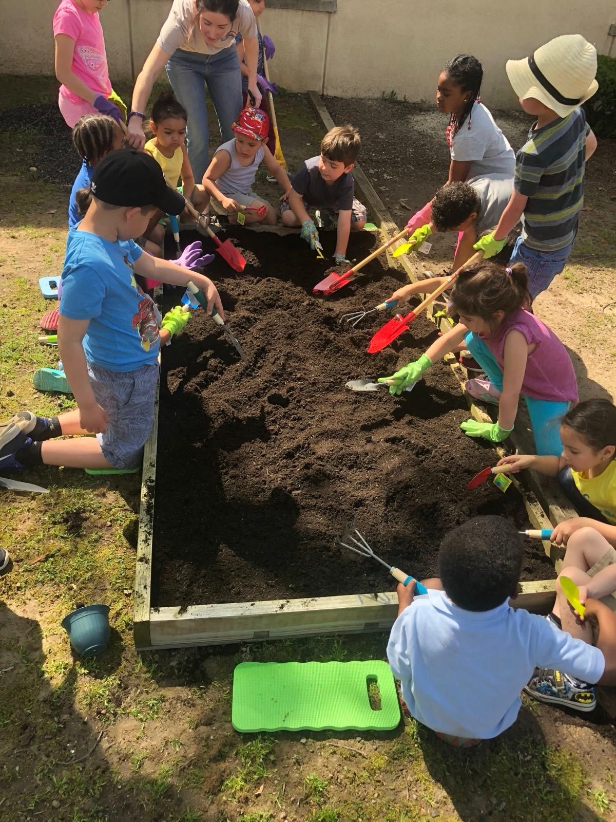 Children harvesting vegetables