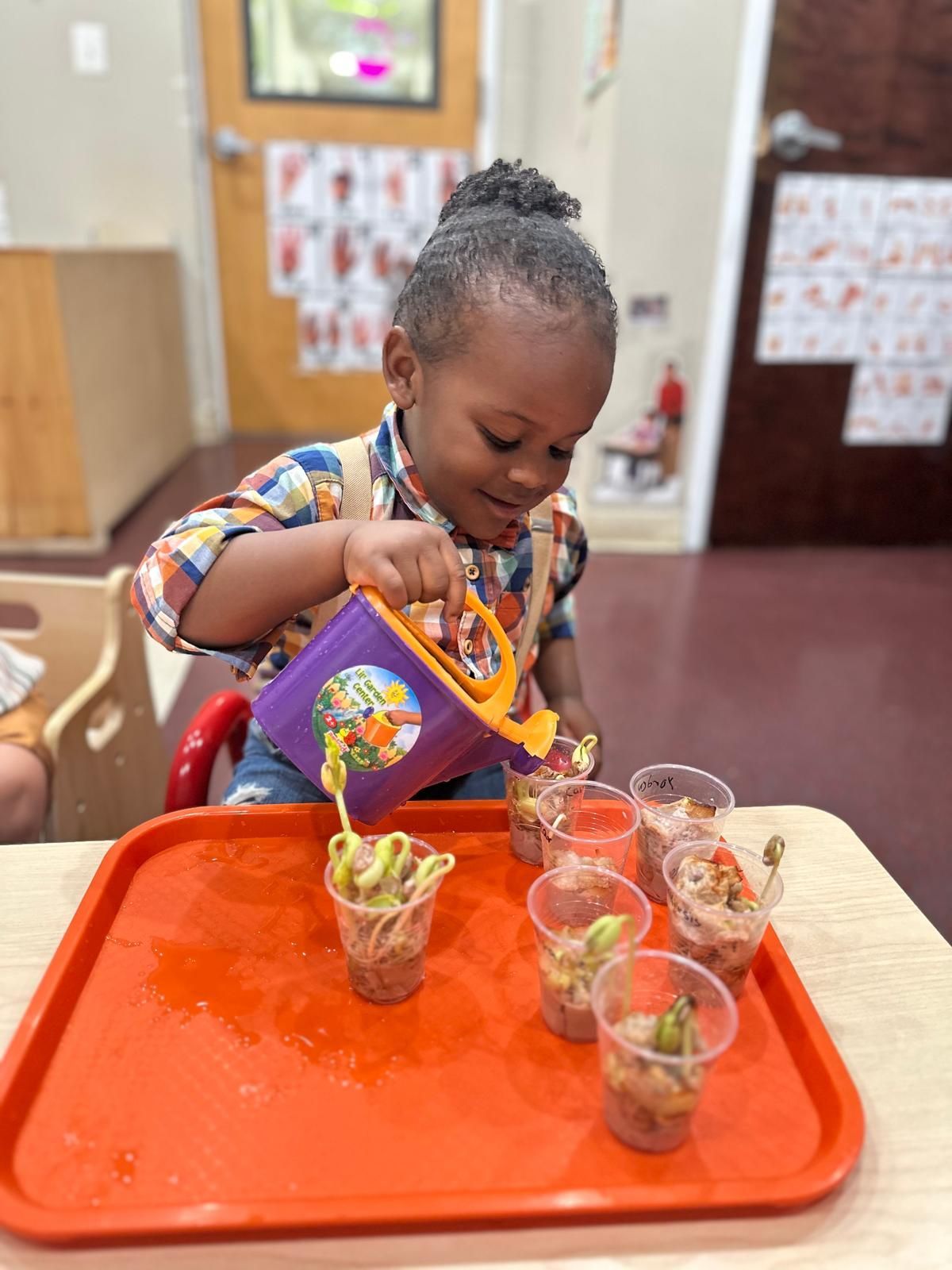Child watering sprouting seeds