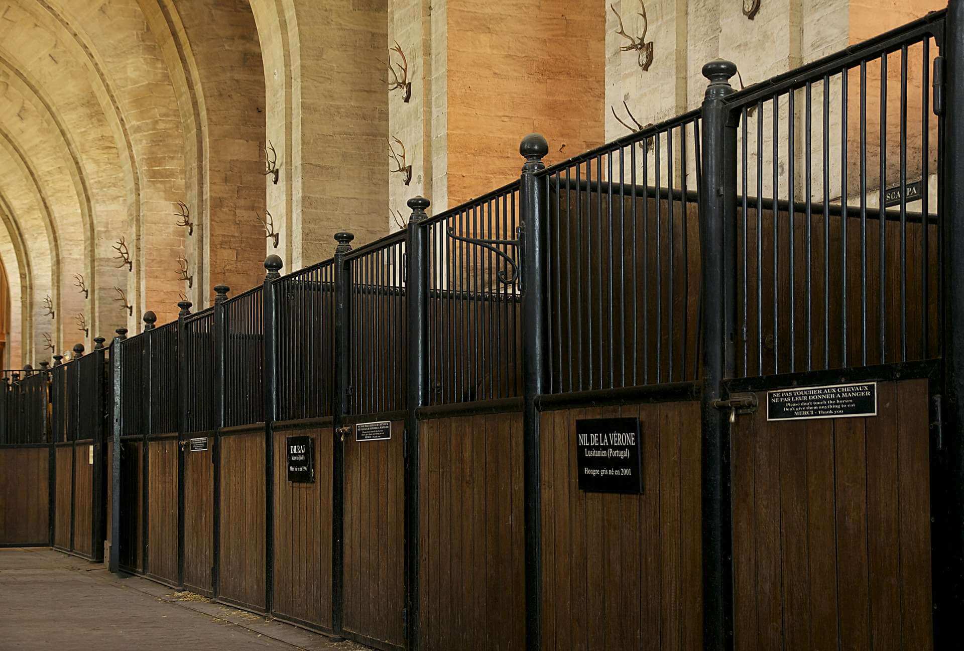 A row of wooden stables with metal fences in a building.