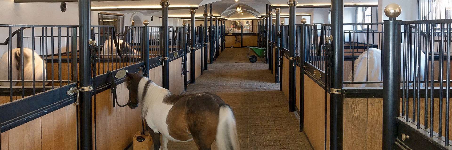A brown and white horse is standing in a stable.