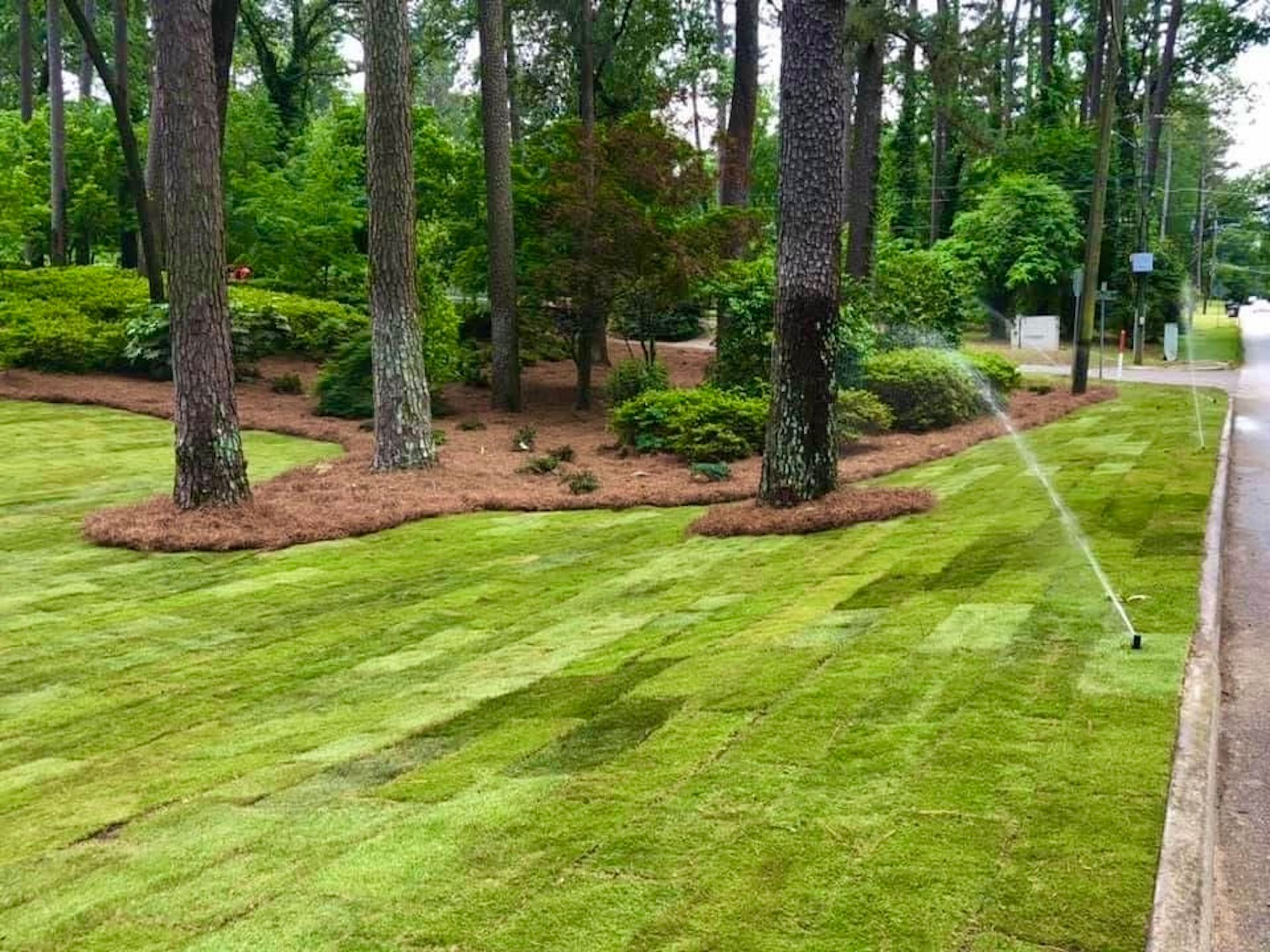 A sprinkler is spraying water on a lush green lawn surrounded by trees.