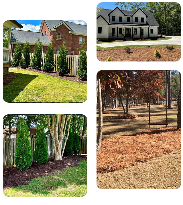 Beggs Landscaping Landscaping
