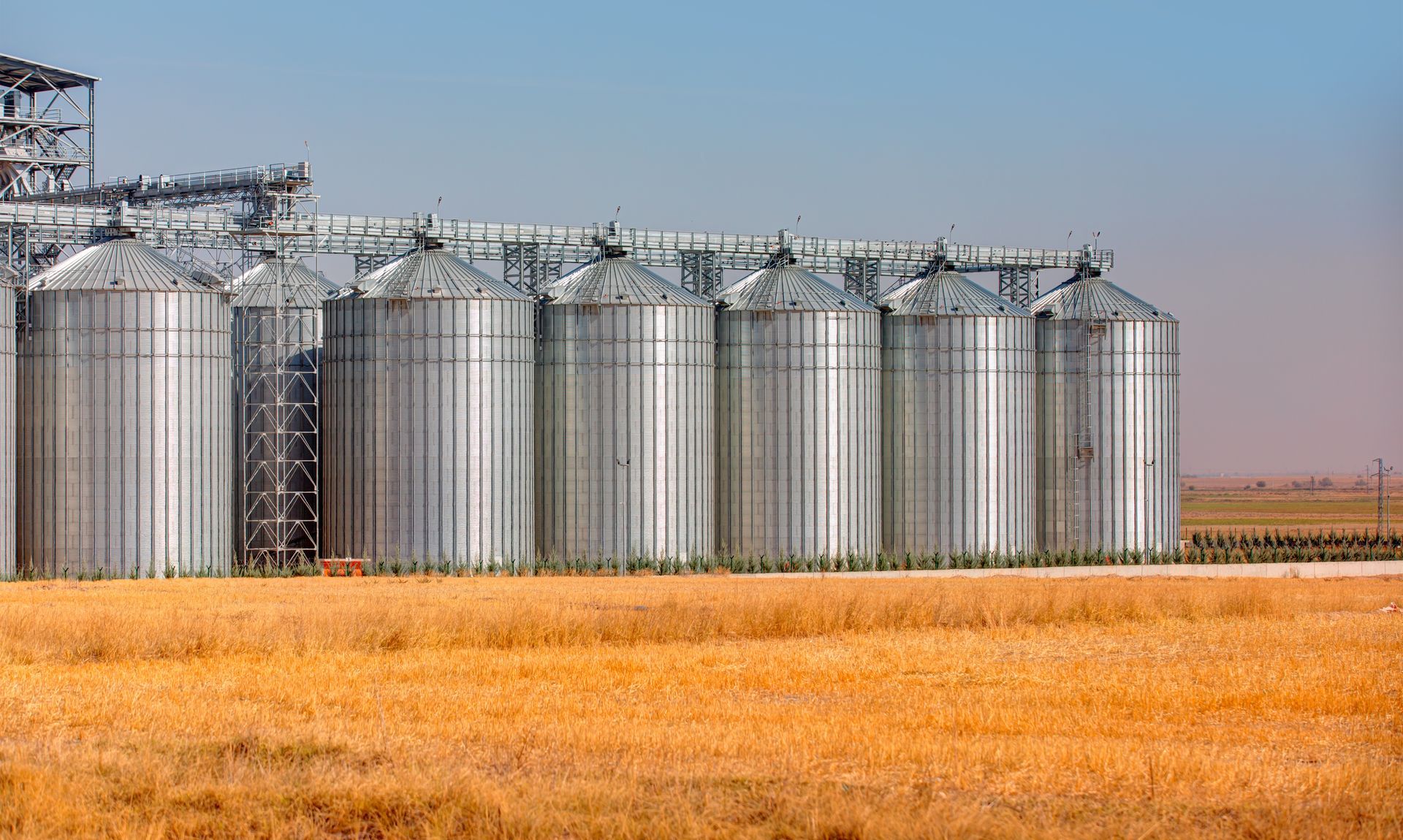 Metal grain silos in a field of golden wheat under a blue sky.