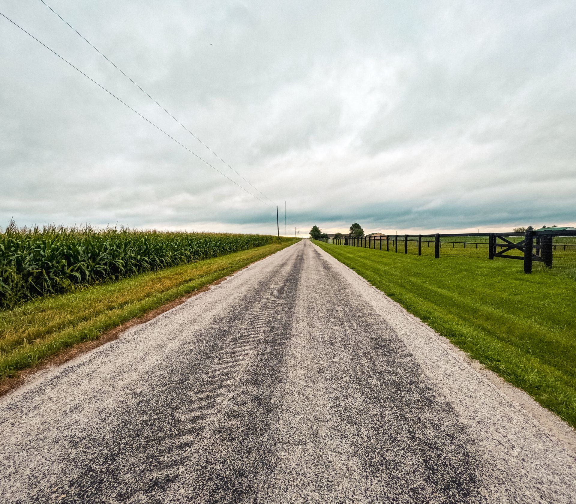Gravel road through farmland with a cornfield on the left, a grassy field and fence on the right, under a cloudy sky.