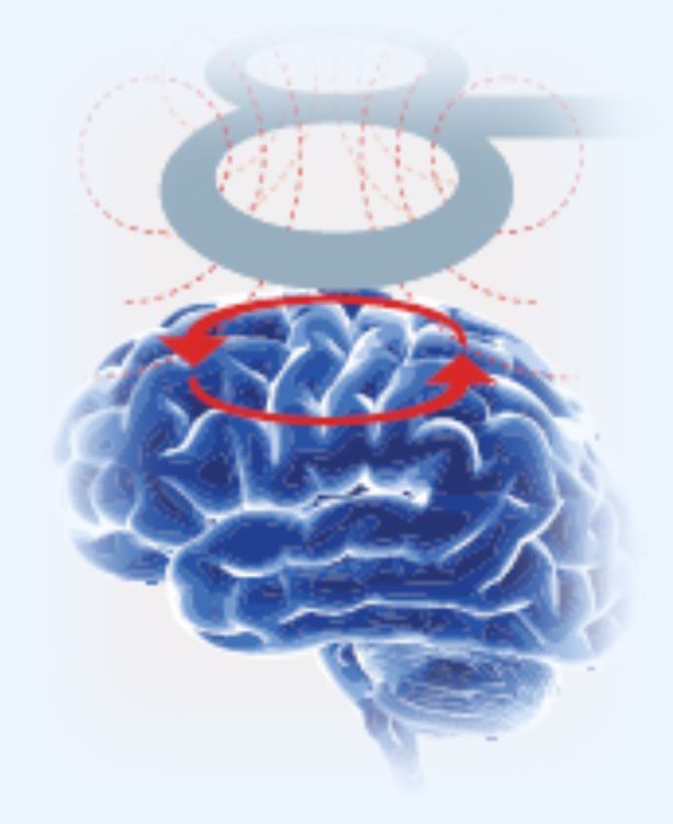 Brain with coil above, showing magnetic field lines and electrical current.