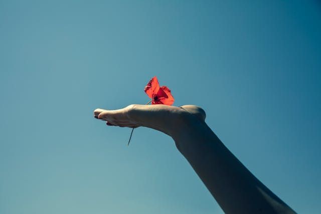Butterfly on hand symbolizing hope at Fawn Grove, PA funeral home and cremations