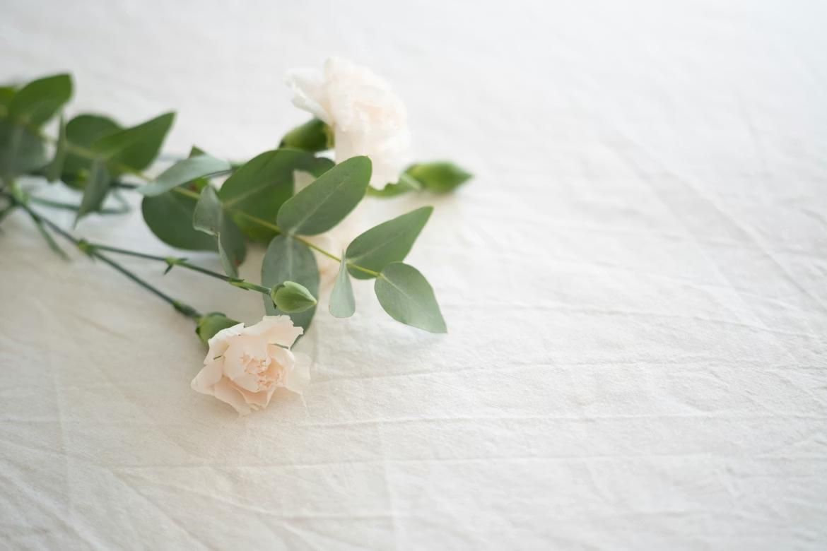 Soft white flowers with green eucalyptus leaves resting on a light fabric surface, creating a peaceful and elegant setting associated with services at a Delta, PA funeral home and cremations provider.