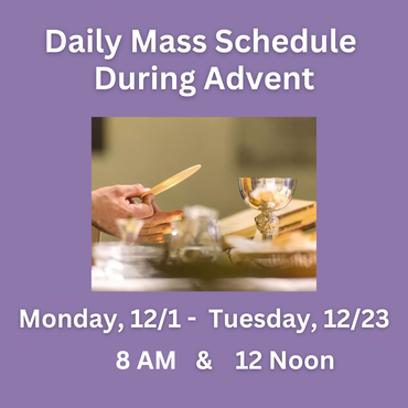 Daily mass twice on mondays and tuesday. 8 AM and noon