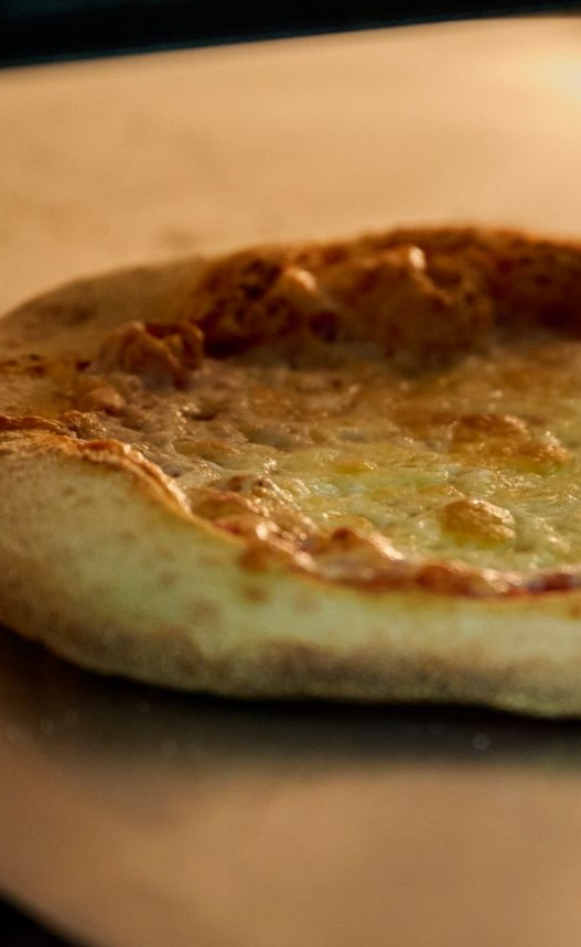 fresh wholesale  pizza dough balls for fresh baked pizza for restaurants