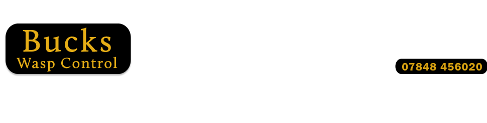 Bucks Wasp Control header logo contact