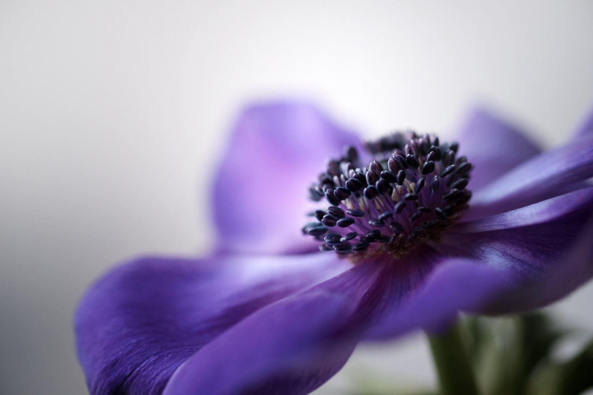 esterni casa funeraria