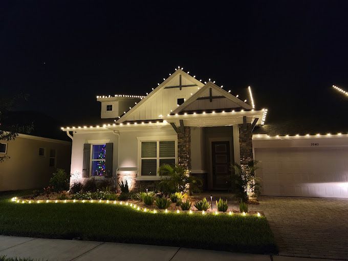 tree trimming services new port richey fl