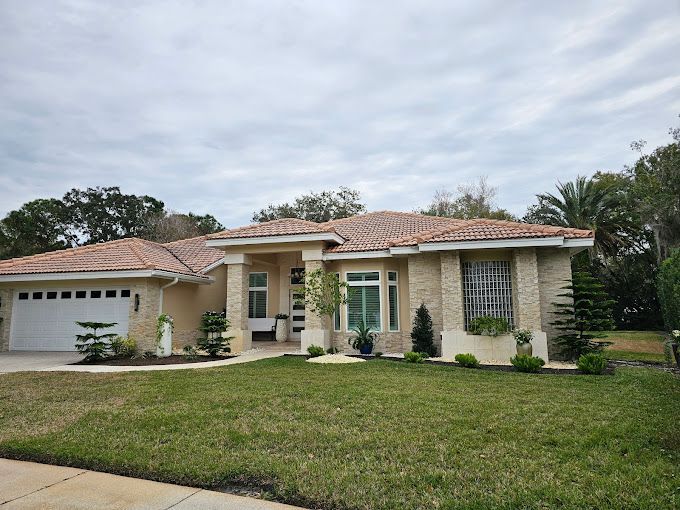 tree trimming tarpon springs fl