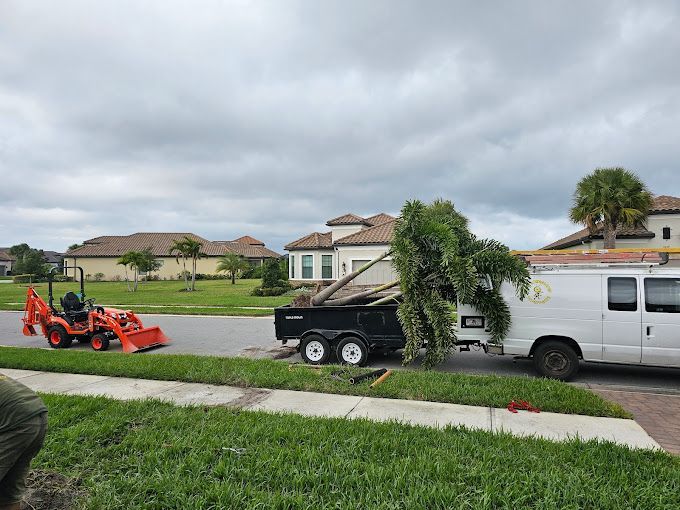 tree planting new port richey fl