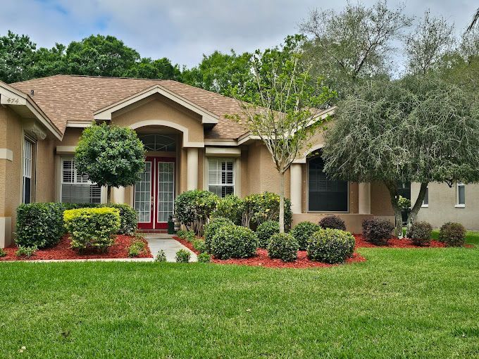 mangrove services near me