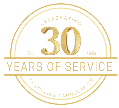 A logo for a company celebrating 30 years of service.