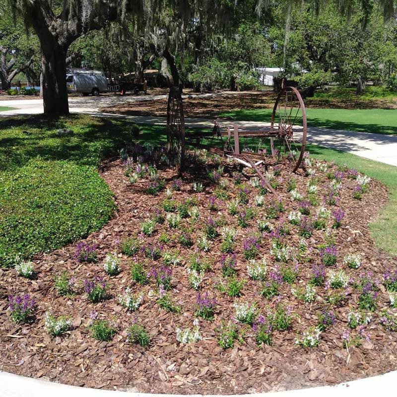 landscaping new port richey fl