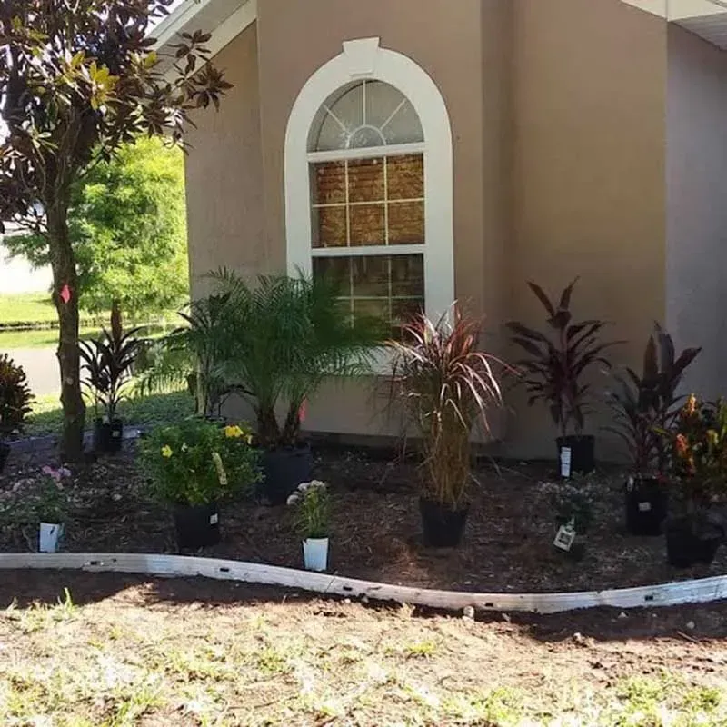 landscaping new port richey fl