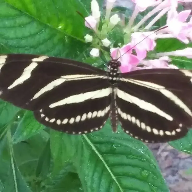 waterscape landscaping