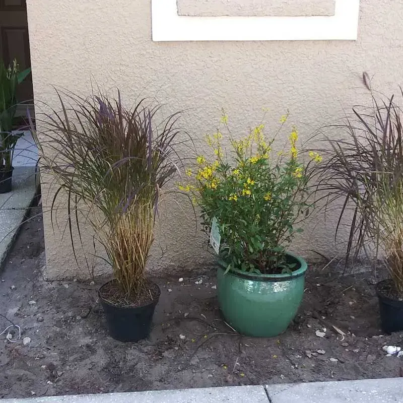 landscaping services near me