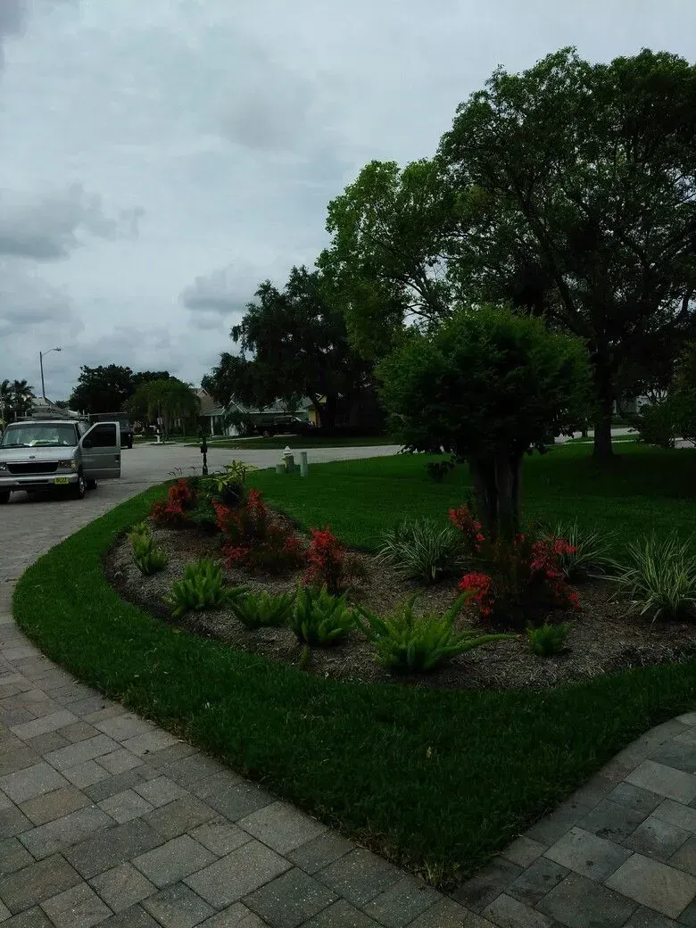 landscaping tarpon springs
