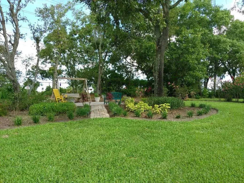 landscaping tarpon springs
