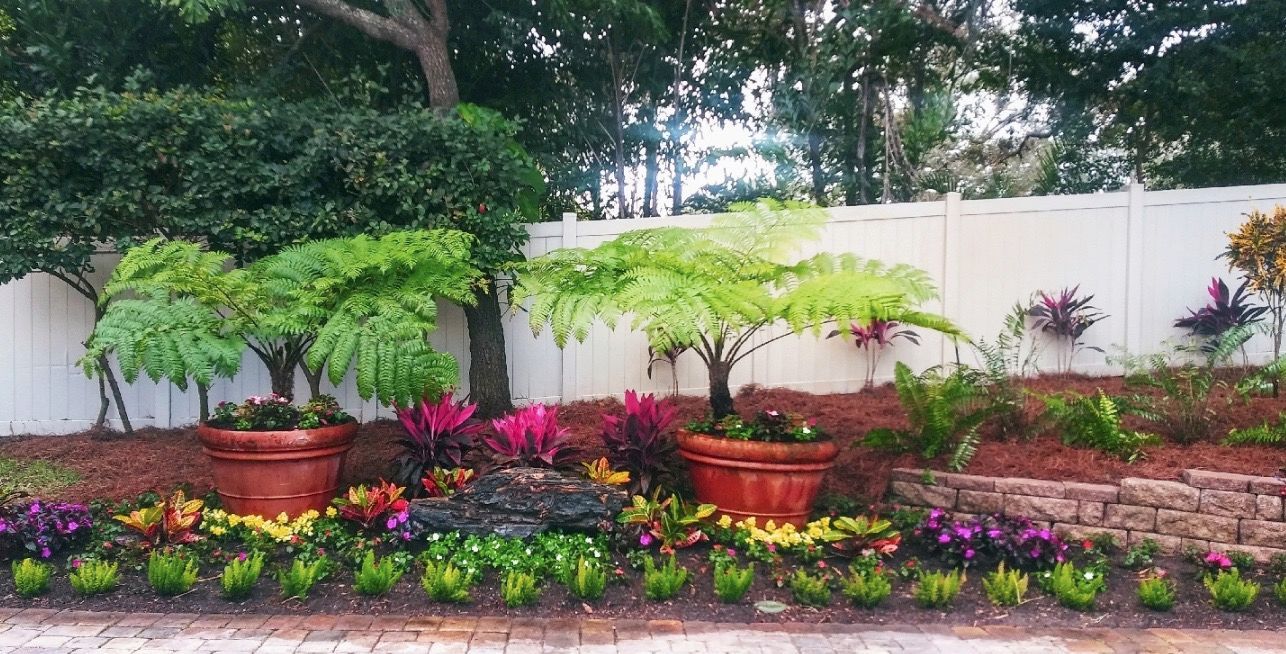 mangrove services new port richey fl