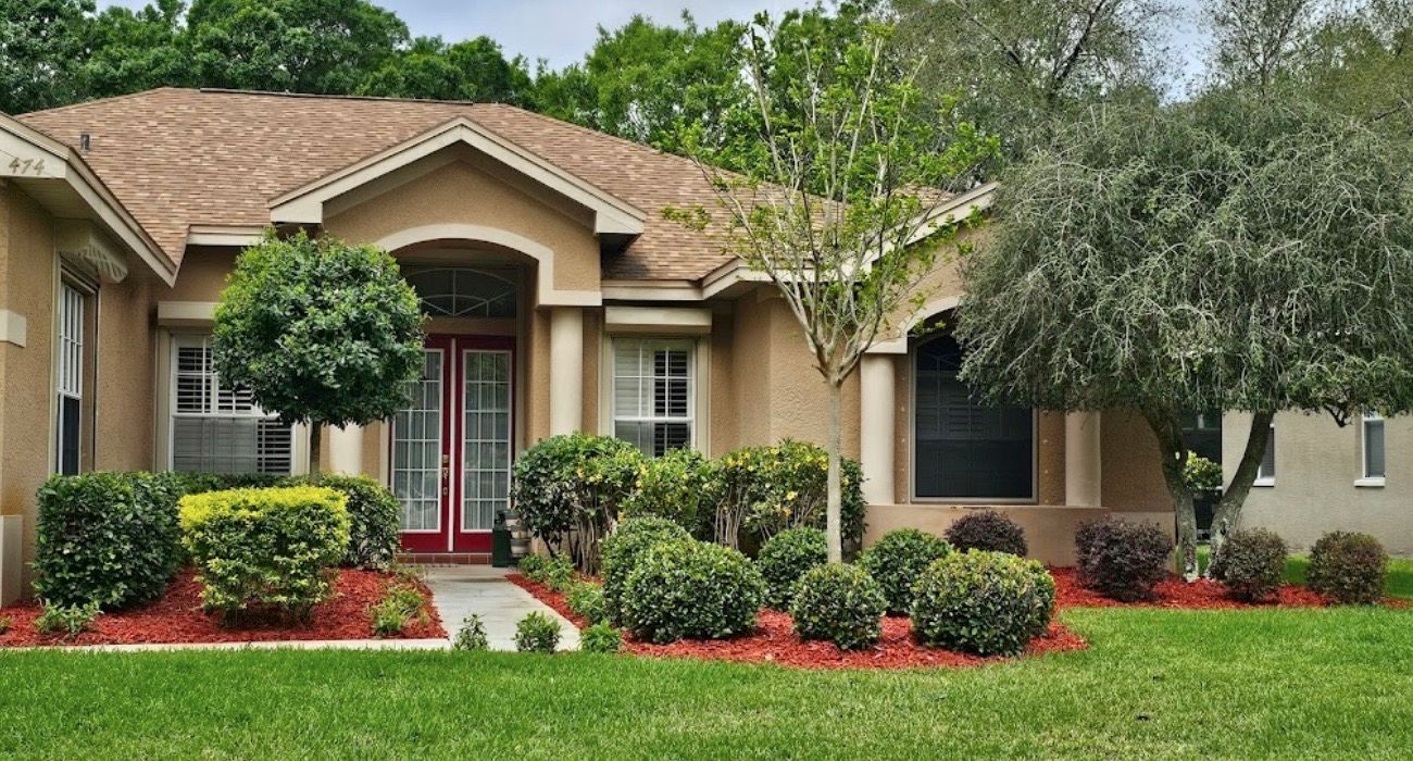 tree planting new port richey fl