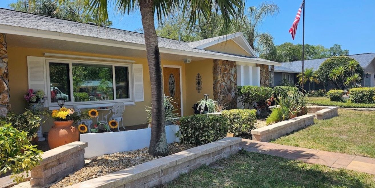 tree trimming services new port richey fl