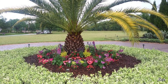 sprinkler repair new port richey fl