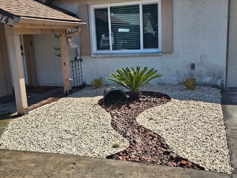 Front yard rock landscape with a small palm, decorative mulch path, and house window