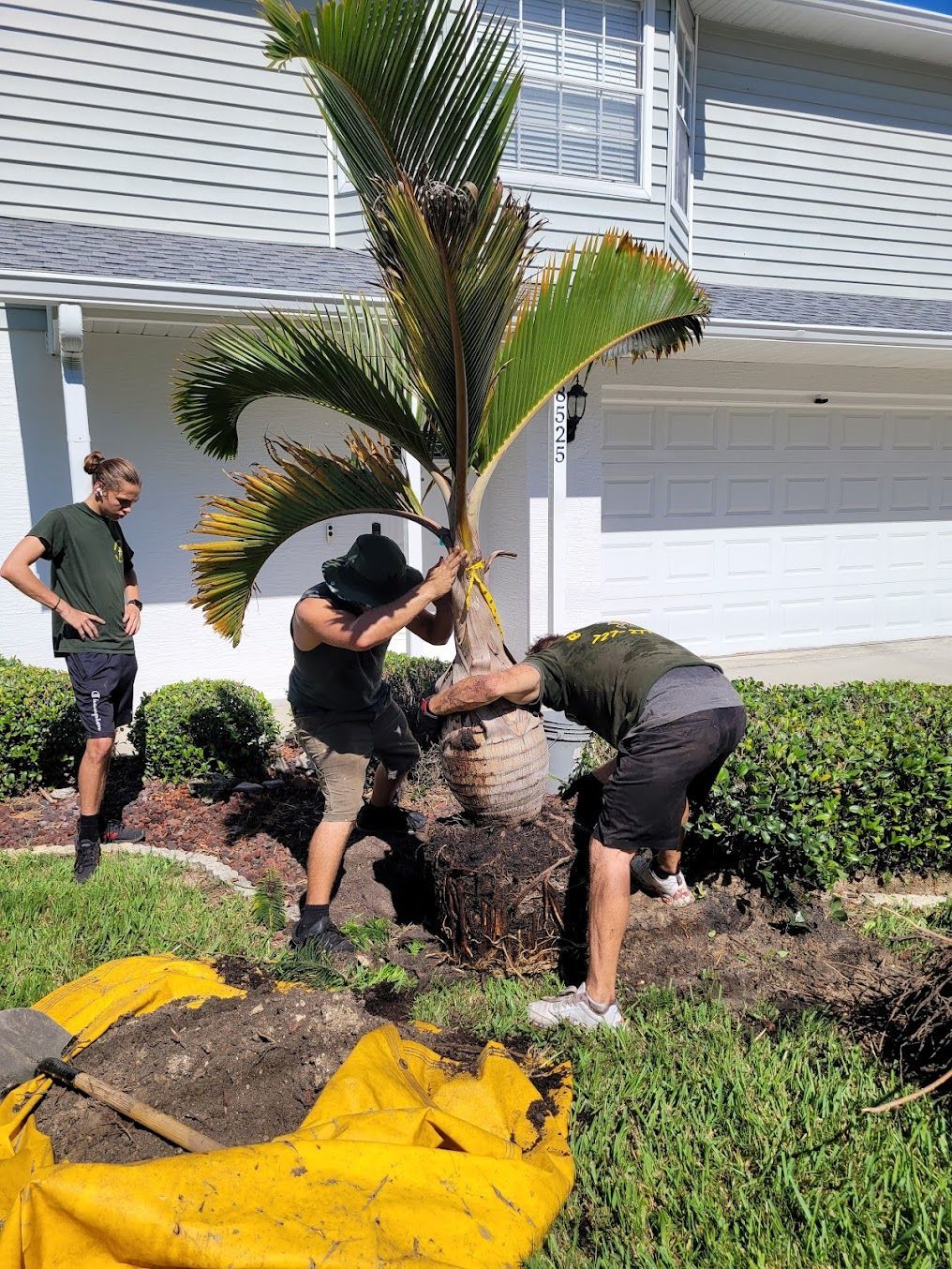 landscaping new port richey