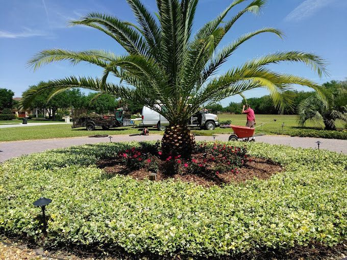 tree planting near me