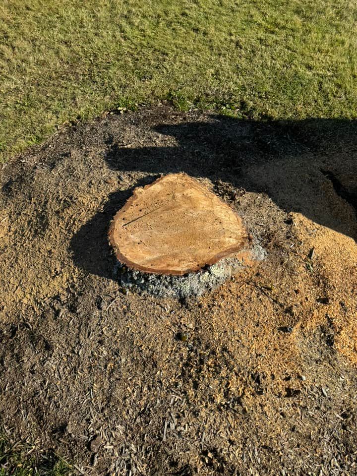 A tree stump is sitting in the middle of a pile of dirt.