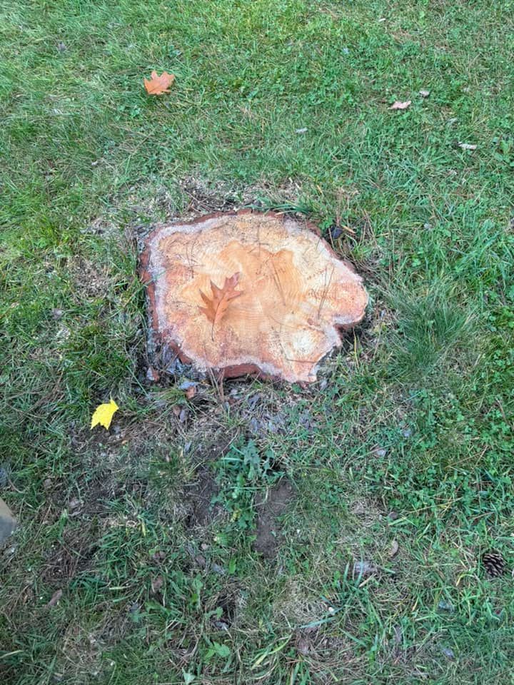 A tree stump is sitting in the middle of a lush green field.