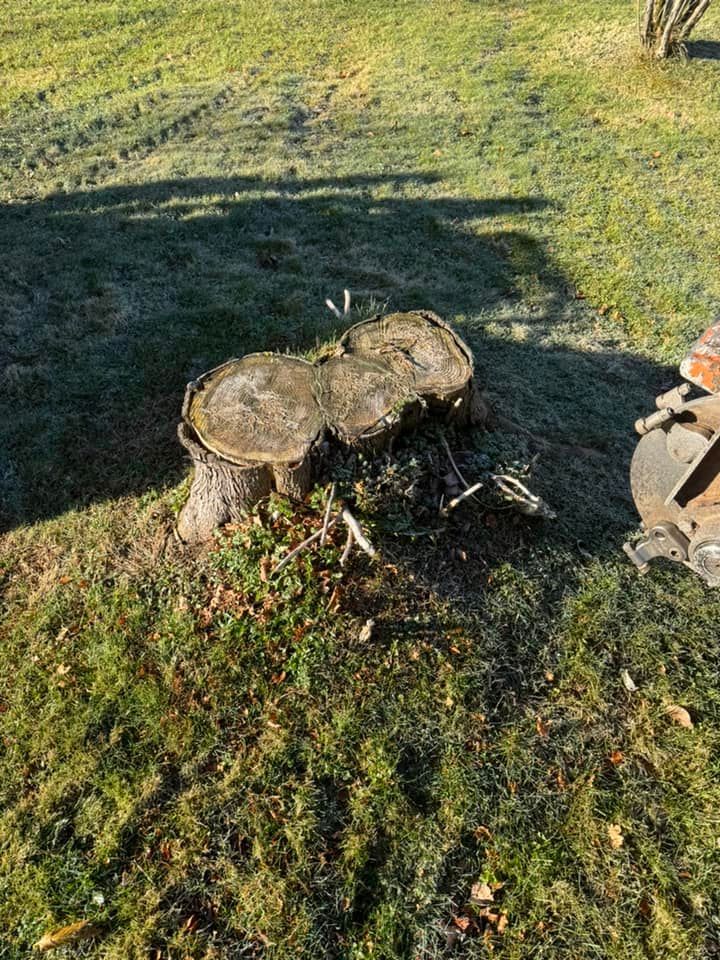 A tree stump is sitting on top of a lush green field.