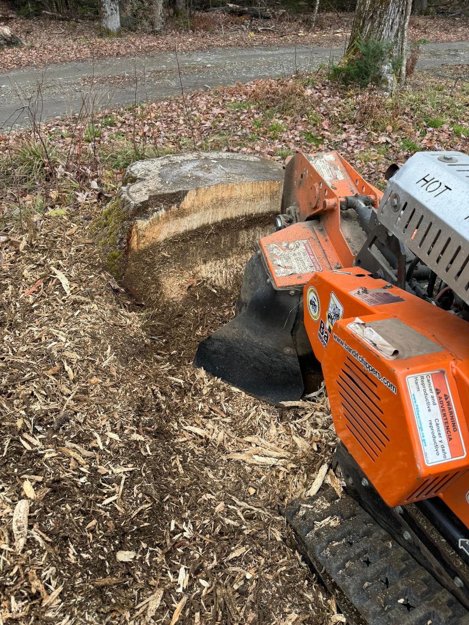 A stump grinder is being used to remove a tree stump.