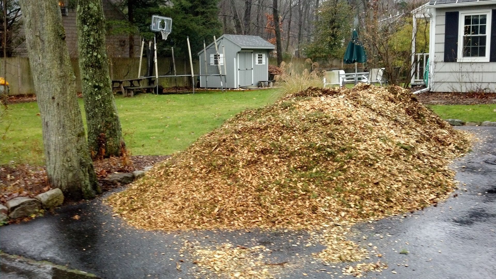 A pile of leaves is on the side of the road in front of a house.