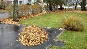 A pile of leaves is sitting on the side of a driveway.