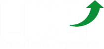 Lice Consultoria Empresarial