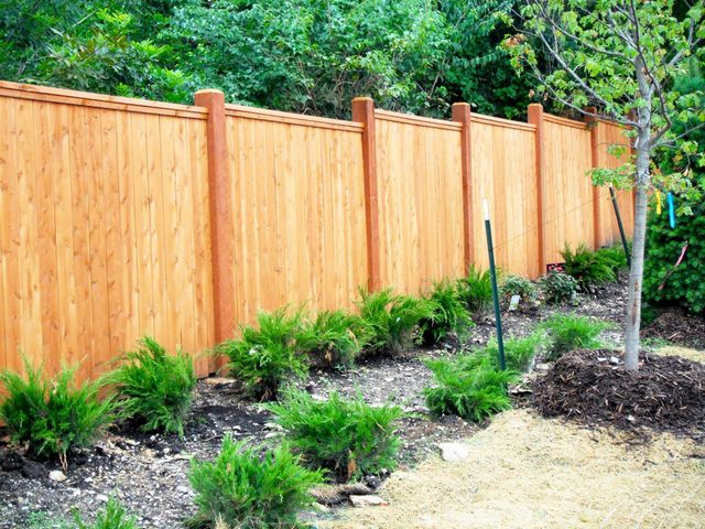 Wooden fence bordering a landscaped garden with green bushes.